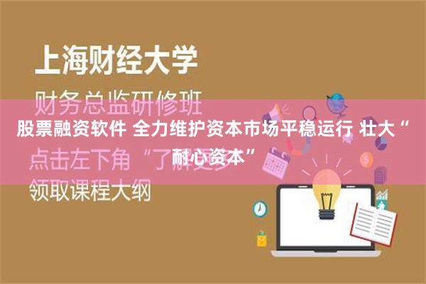 股票融资软件 全力维护资本市场平稳运行 壮大“耐心资本”