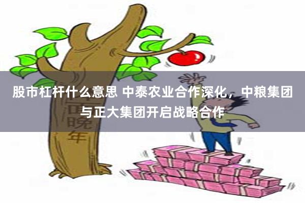 股市杠杆什么意思 中泰农业合作深化，中粮集团与正大集团开启战略合作