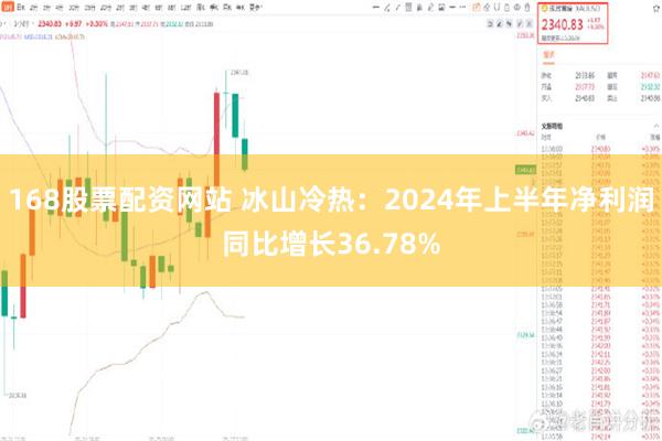 168股票配资网站 冰山冷热：2024年上半年净利润同比增长36.78%