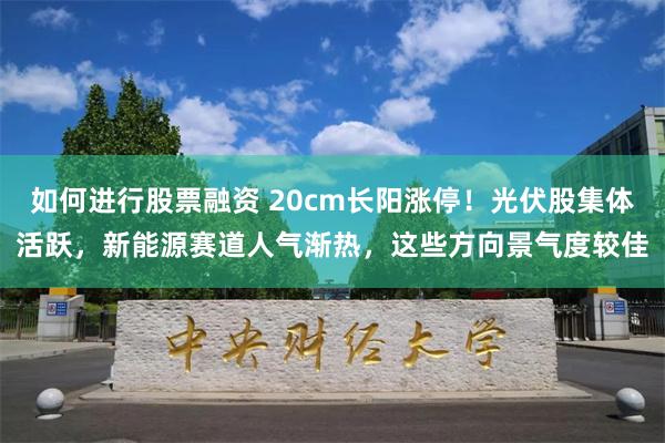 如何进行股票融资 20cm长阳涨停！光伏股集体活跃，新能源赛道人气渐热，这些方向景气度较佳