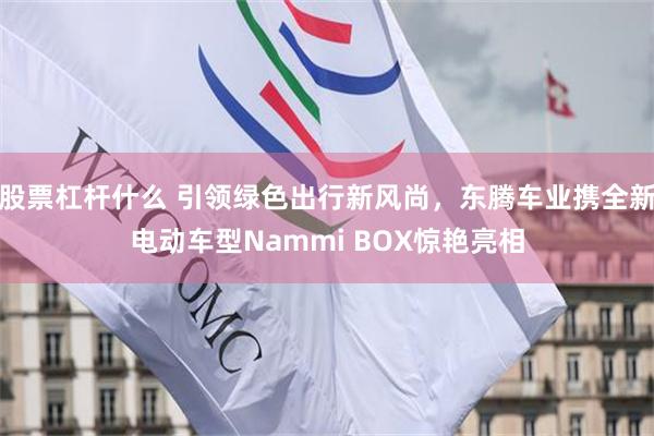 股票杠杆什么 引领绿色出行新风尚，东腾车业携全新电动车型Nammi BOX惊艳亮相