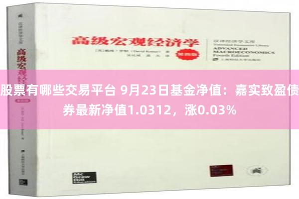 股票有哪些交易平台 9月23日基金净值：嘉实致盈债券最新净值1.0312，涨0.03%