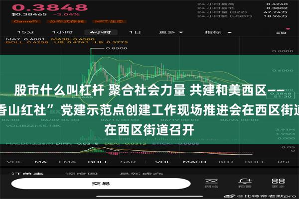 股市什么叫杠杆 聚合社会力量 共建和美西区——市 “香山红社” 党建示范点创建工作现场推进会在西区街道召开