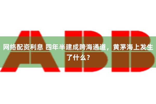 网络配资利息 四年半建成跨海通道，黄茅海上发生了什么？