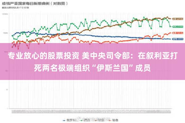 专业放心的股票投资 美中央司令部：在叙利亚打死两名极端组织“伊斯兰国”成员