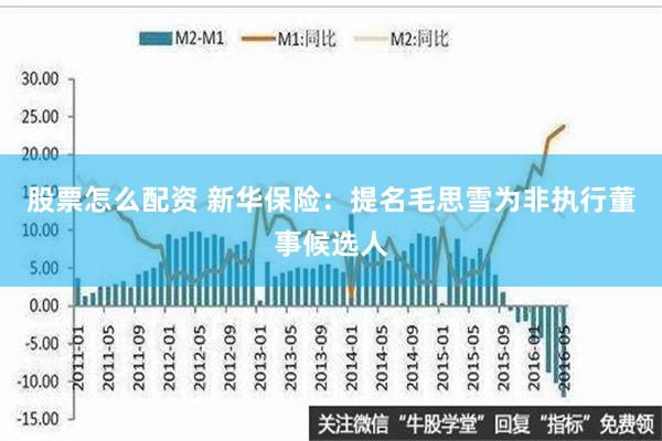 股票怎么配资 新华保险：提名毛思雪为非执行董事候选人