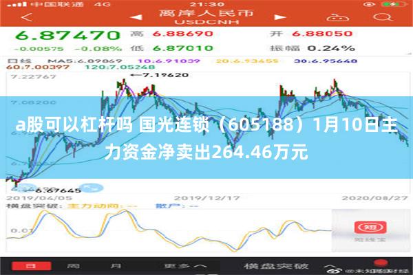 a股可以杠杆吗 国光连锁（605188）1月10日主力资金净卖出264.46万元