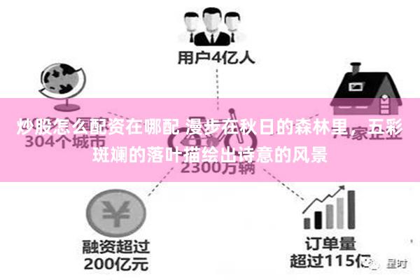 炒股怎么配资在哪配 漫步在秋日的森林里，五彩斑斓的落叶描绘出诗意的风景