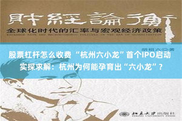 股票杠杆怎么收费 “杭州六小龙”首个IPO启动 实探求解：杭州为何能孕育出“六小龙”？